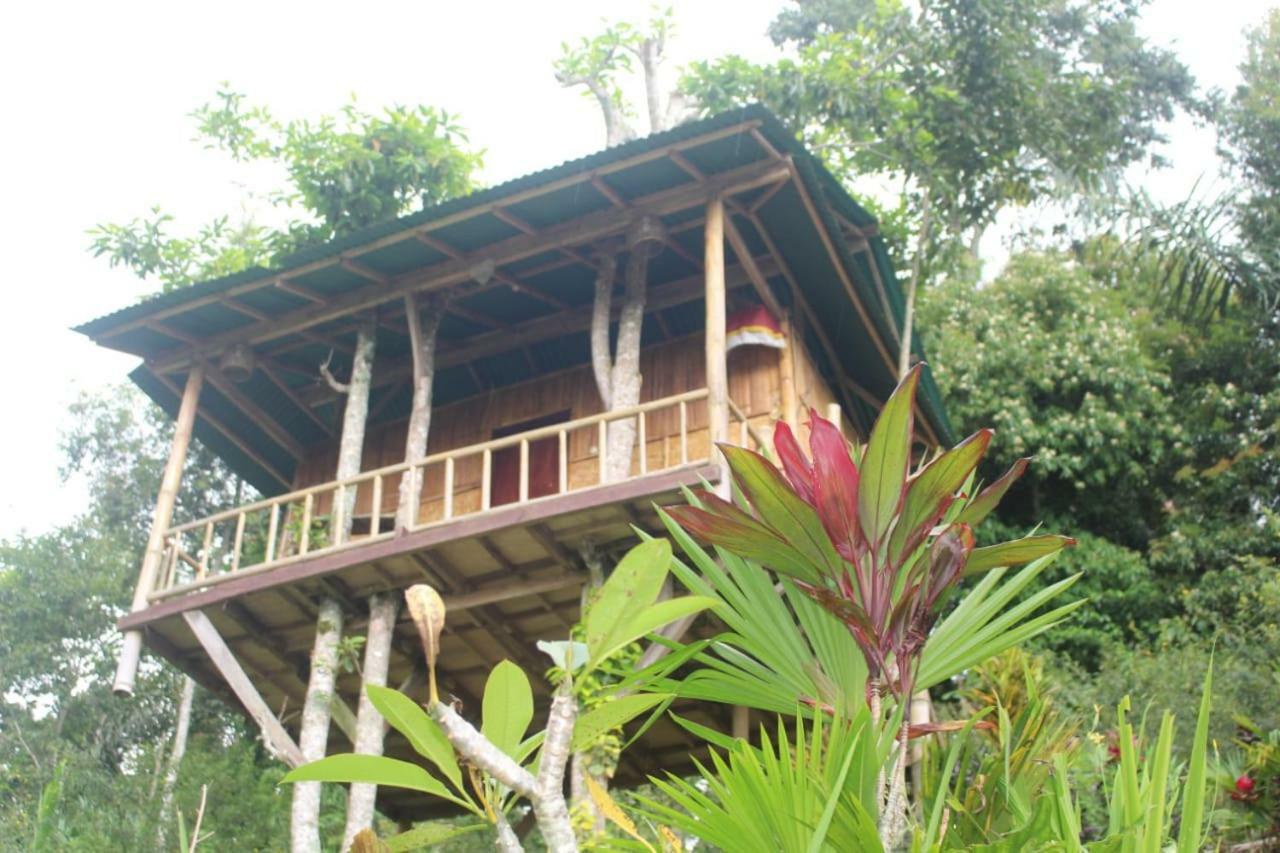 Bali Tree House Pelangi Apartment Bedugul  Exterior photo