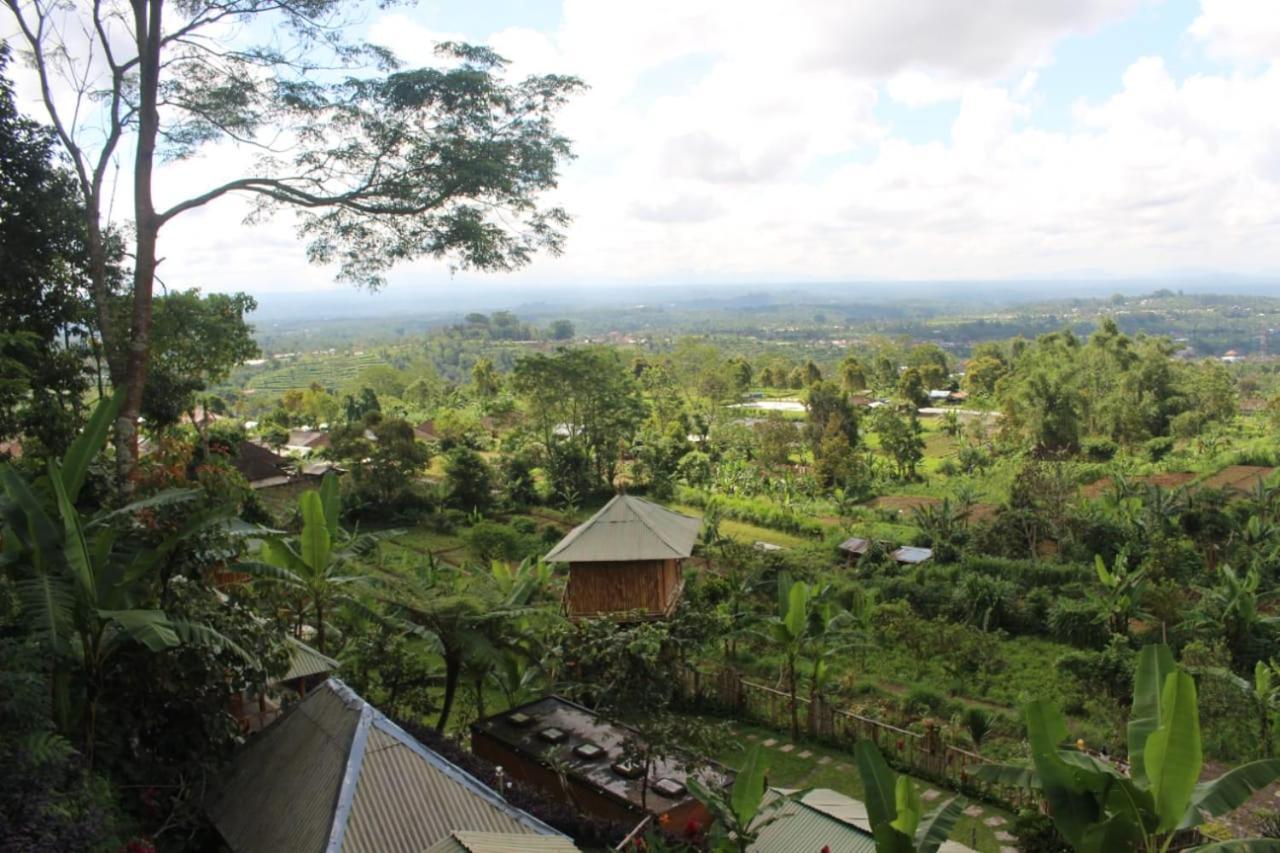 Bali Tree House Pelangi Apartment Bedugul  Exterior photo